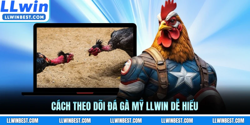 Cách theo dõi đá gà Mỹ LLWIN dễ hiểu
