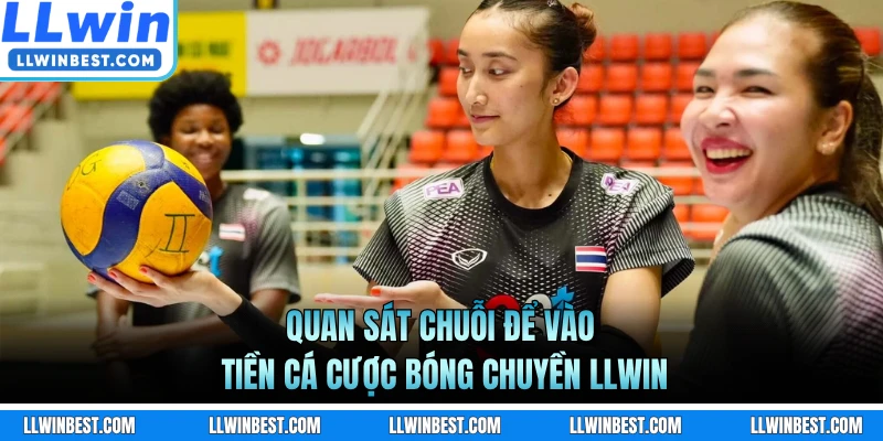 Quan sát chuỗi để vào tiền cá cược bóng chuyền LLWIN